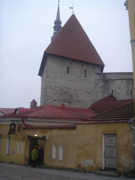 Фотография №16