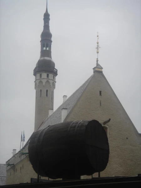 Фотография №23