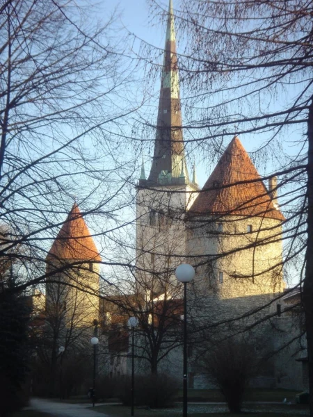Фотография №41