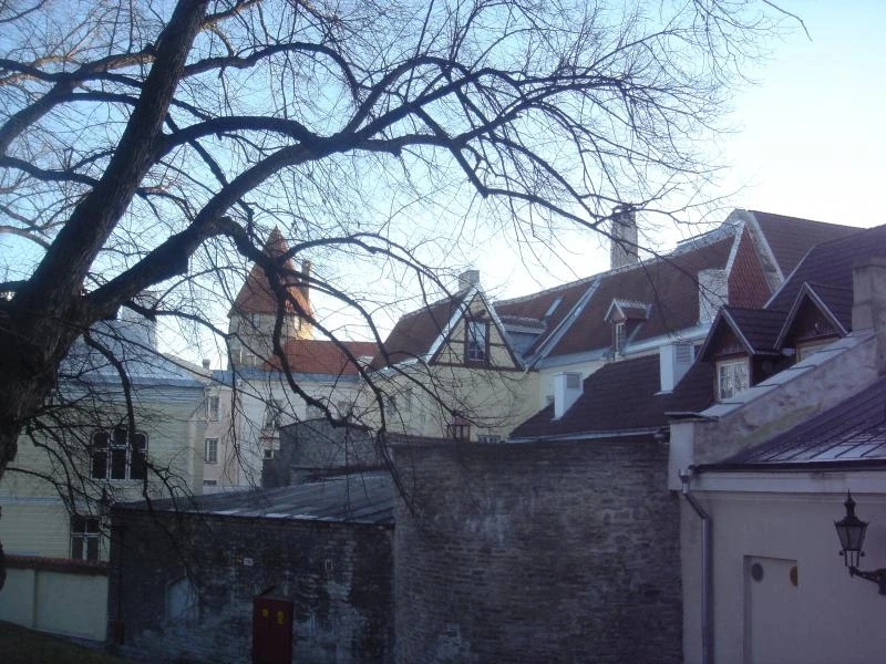 Фотография №43