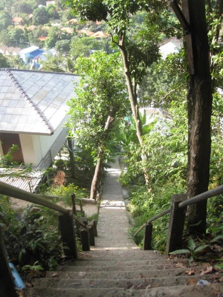 View Point