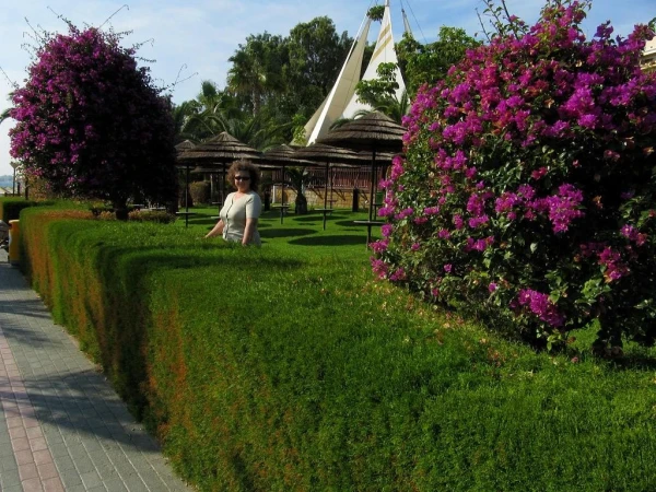 Территория отеля Four Seasons