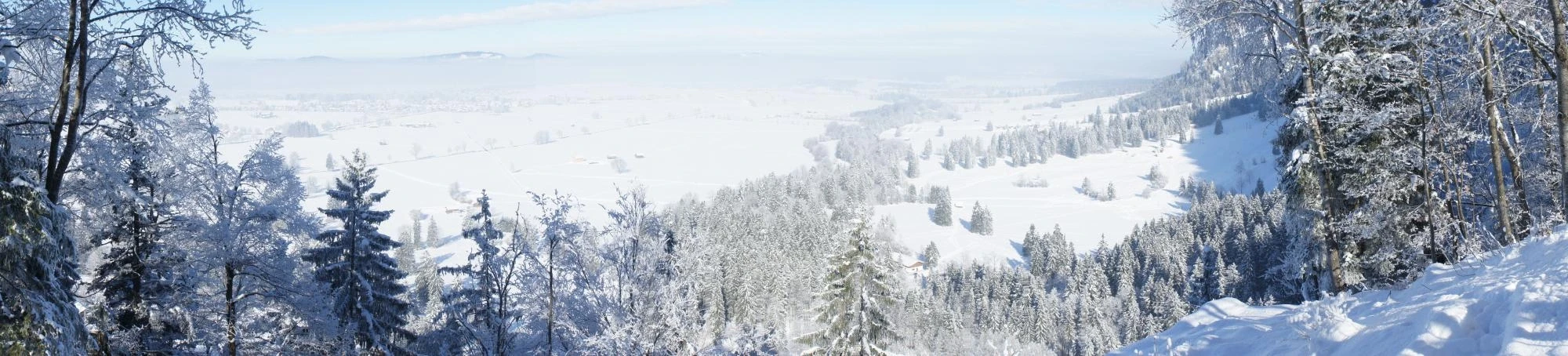 Панорама окрестностей