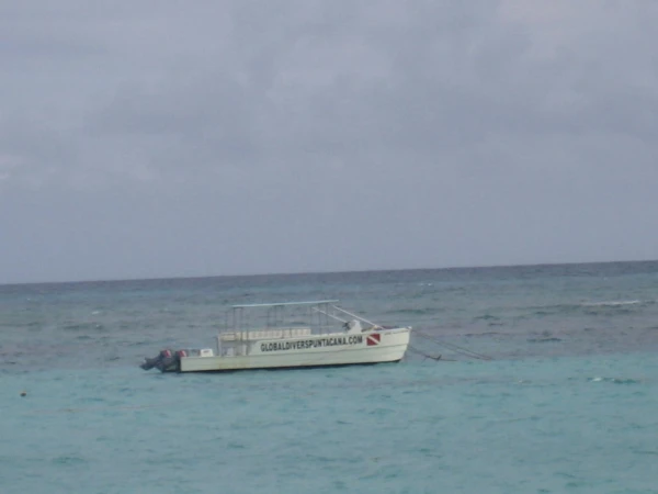 Синее море,белый пароход
