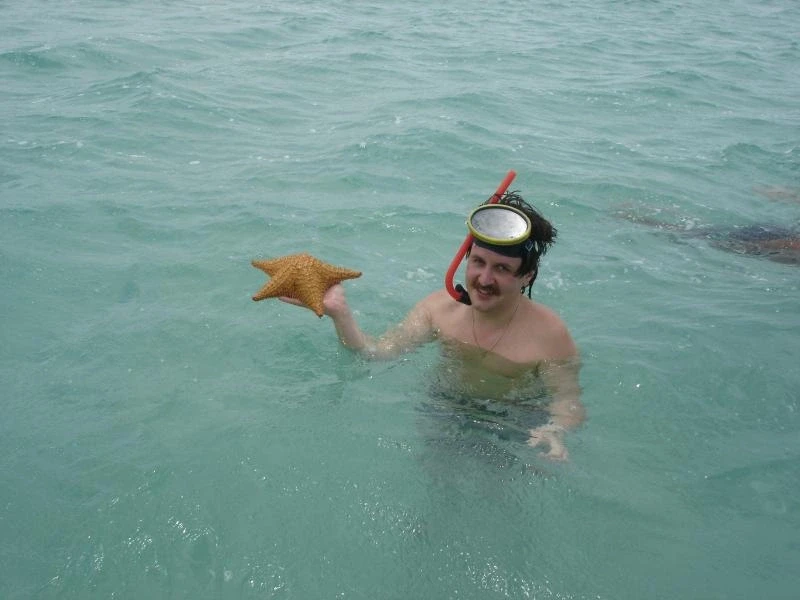 Морская звезда.