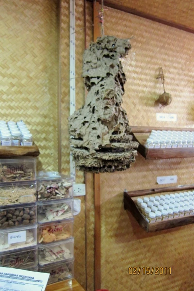 Зеленая аптека