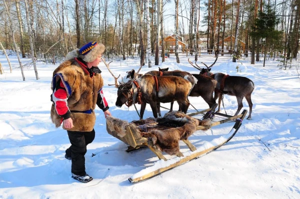 В стране северных оленей