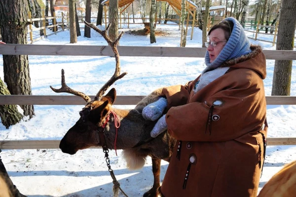 В стране северных оленей