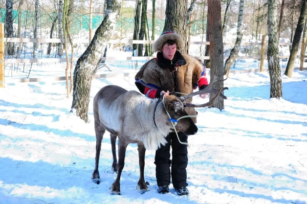 В стране северных оленей
