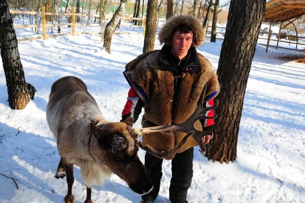 В стране северных оленей