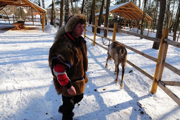В стране северных оленей