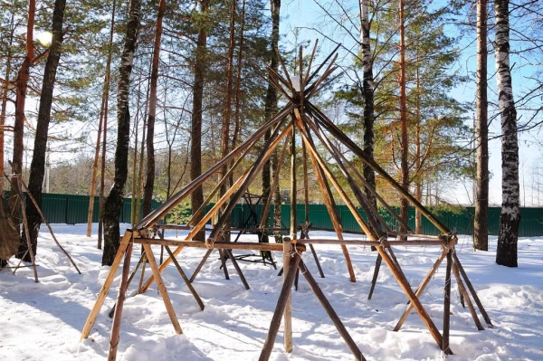 В стране северных оленей