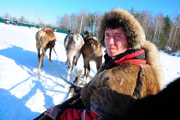 В стране северных оленей
