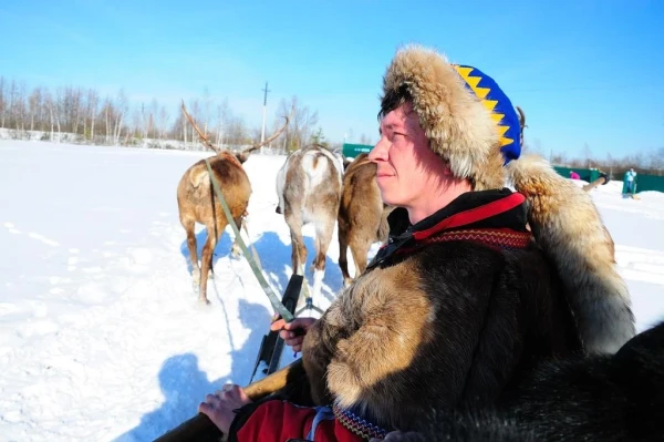 В стране северных оленей