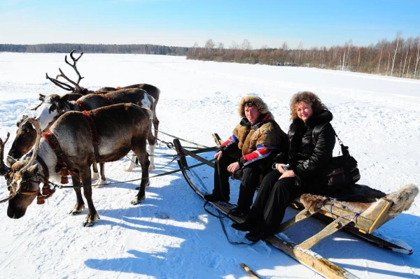 В стране северных оленей