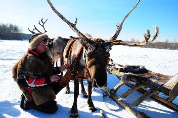 В стране северных оленей
