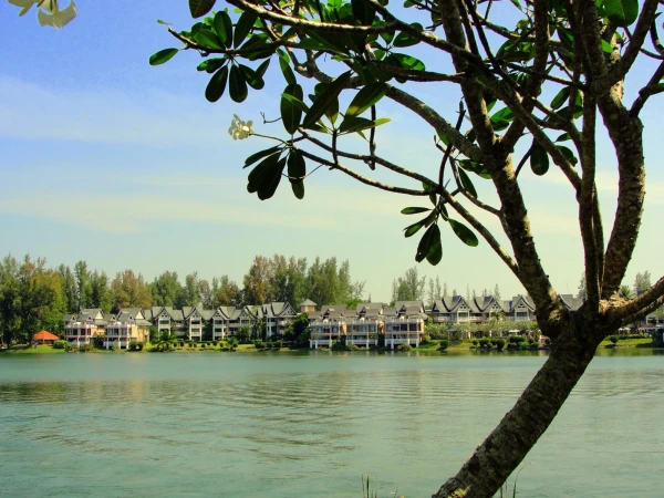 Allamanda Laguna