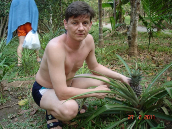 так растут ананасы