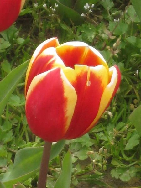 Стамбул, март-2010