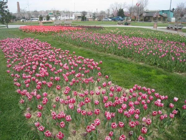 Стамбул,апрель-2010