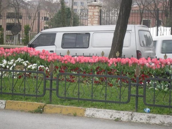 Стамбул,апрель-2010