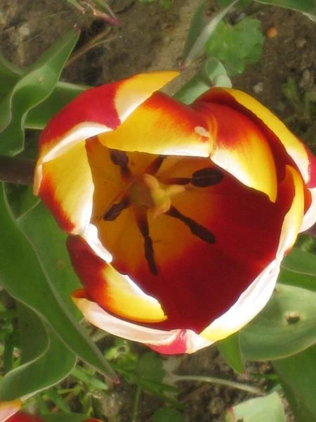 Стамбул, март-2010