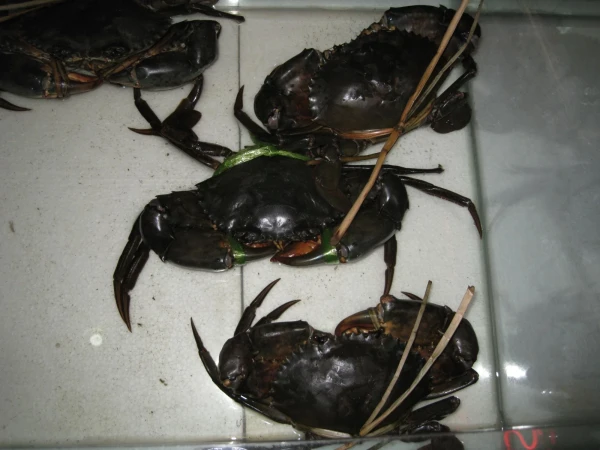 Крабы