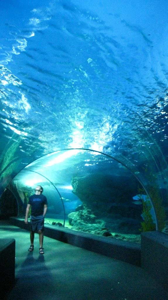Siam Ocean World - самый большой океанариум в ЮВА