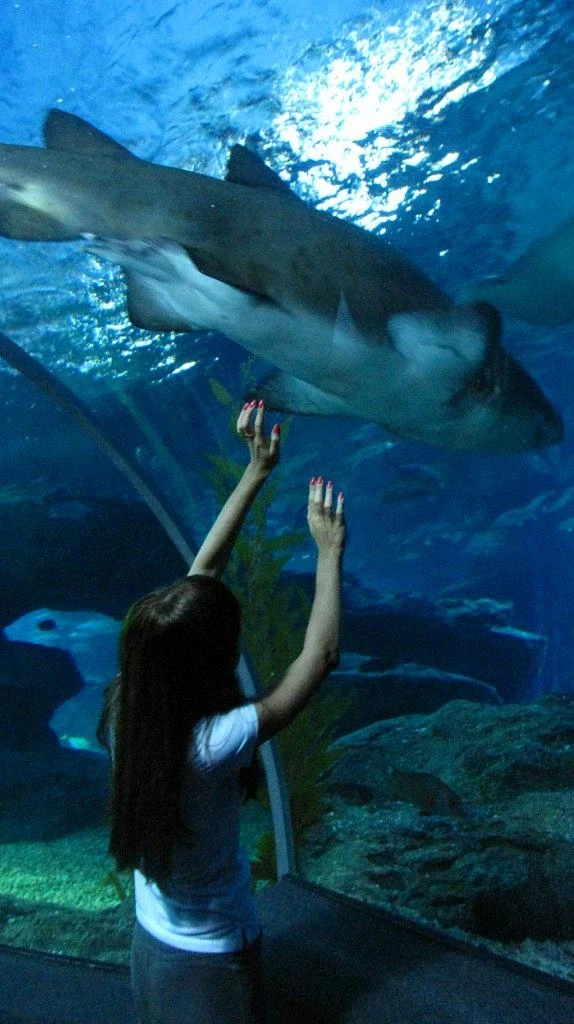 Siam Ocean World - самый большой океанариум в ЮВА