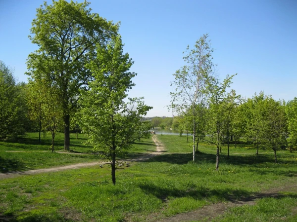 Парк