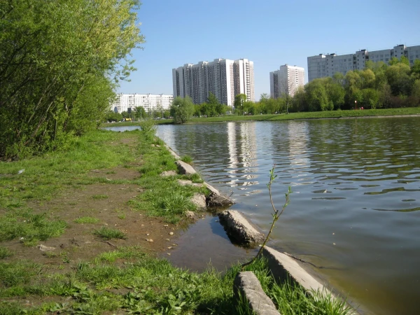 Алтуфьевский пруд