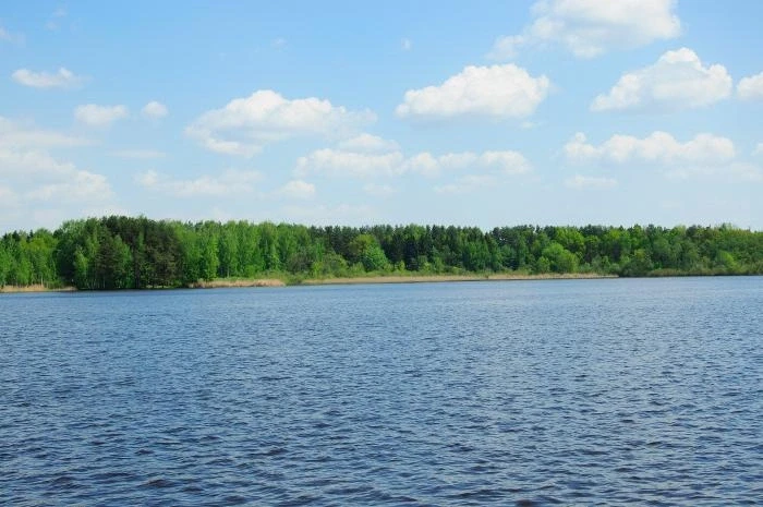 Икшинское и Пестовское водохранилища