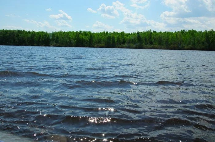 Икшинское и Пестовское водохранилища
