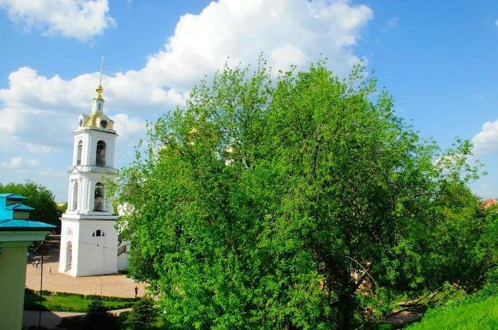 Дмитров. Кремль. Успенский Собор. Колокольня