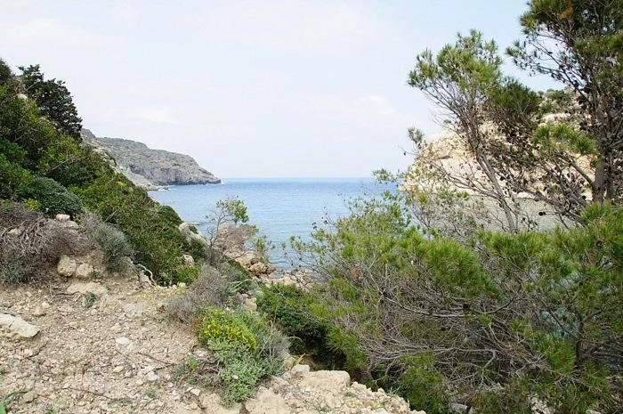  ANTHONY QUINN BAY