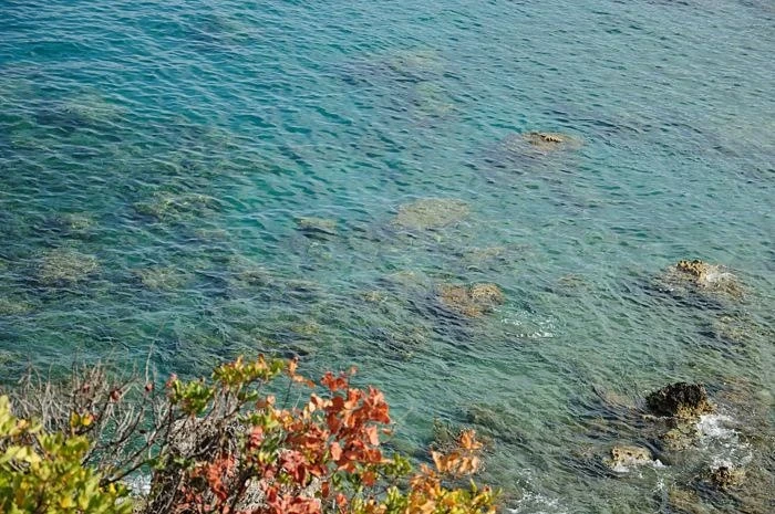 LADIKO BAY