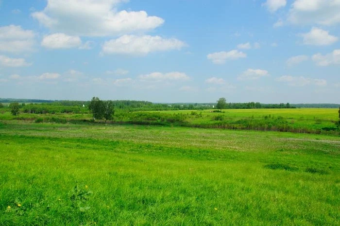Бородино