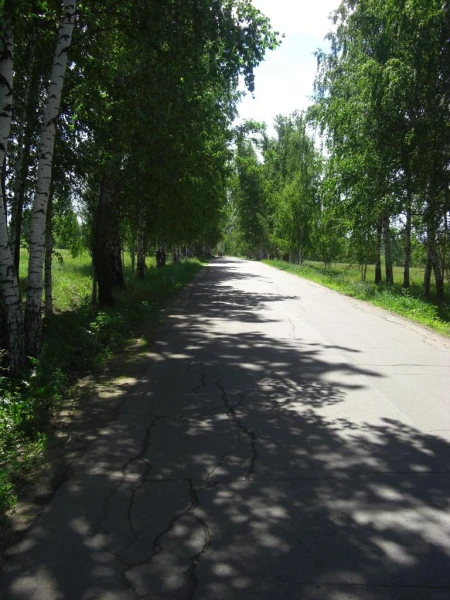 Дорога к Толгжскому монастырю