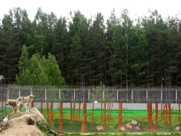 волки
