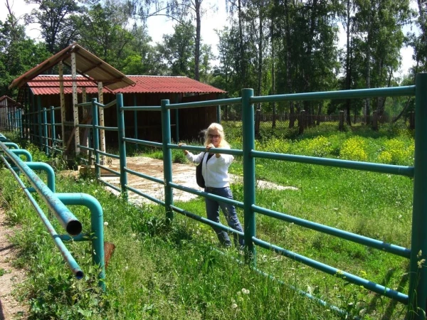 загон, почти пустой)