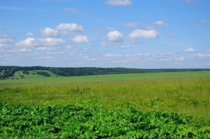 Родное Подмосковье