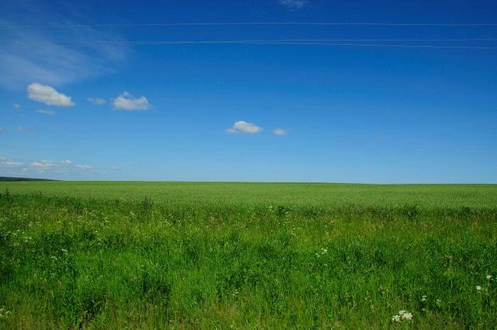 Родное Подмосковье