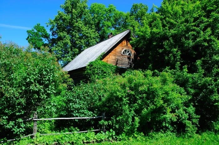 Усадьба "Шахматово"