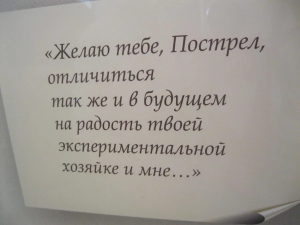 Отрывки из дневника одной из служащих 