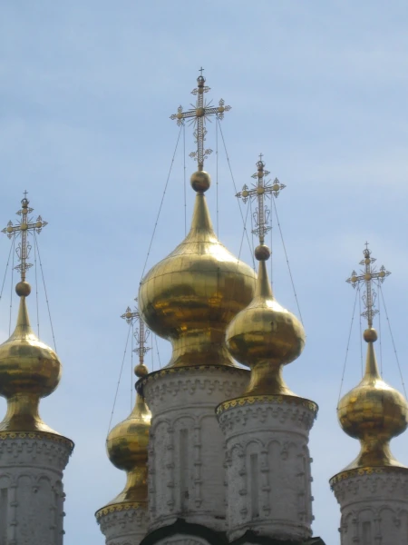 Рязанские просторы и теории академика И.П. Павлова на фоне празднования Дня медицинского работника.