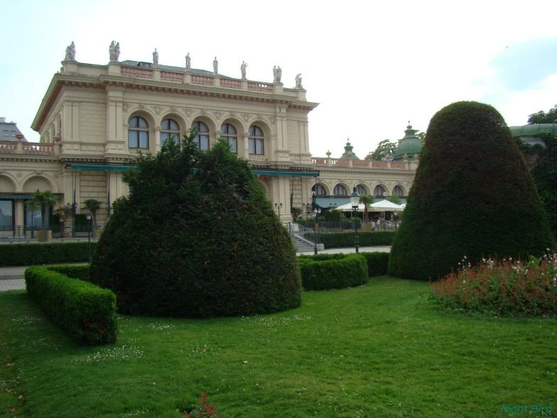 Курсалон