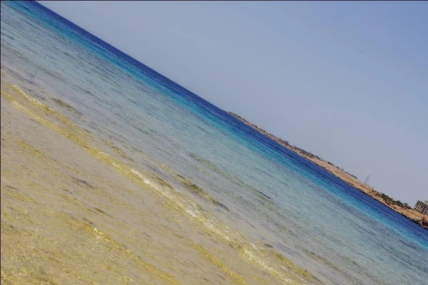 Красное море