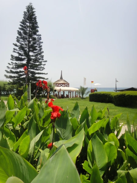 Pegasos Resort