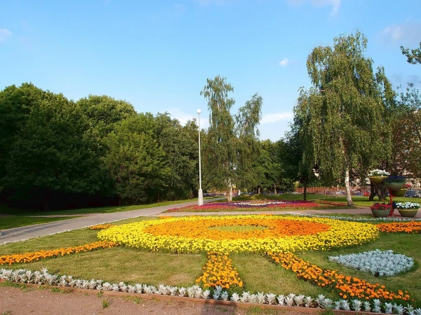 это солнышко тоже в Воронцовском парке