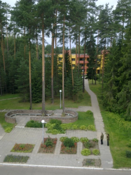Территория ( вид с 1корпуса)